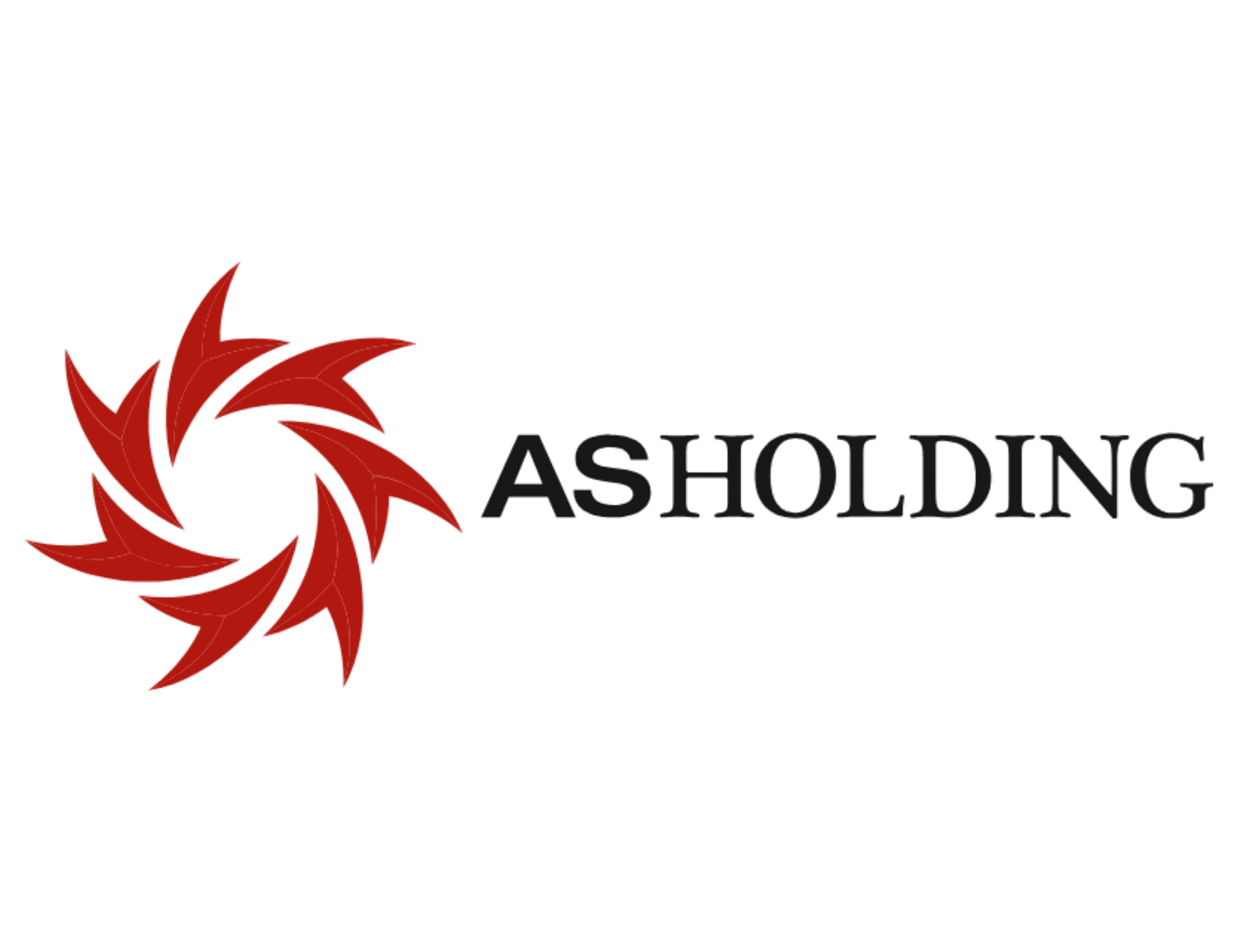 AS Holding